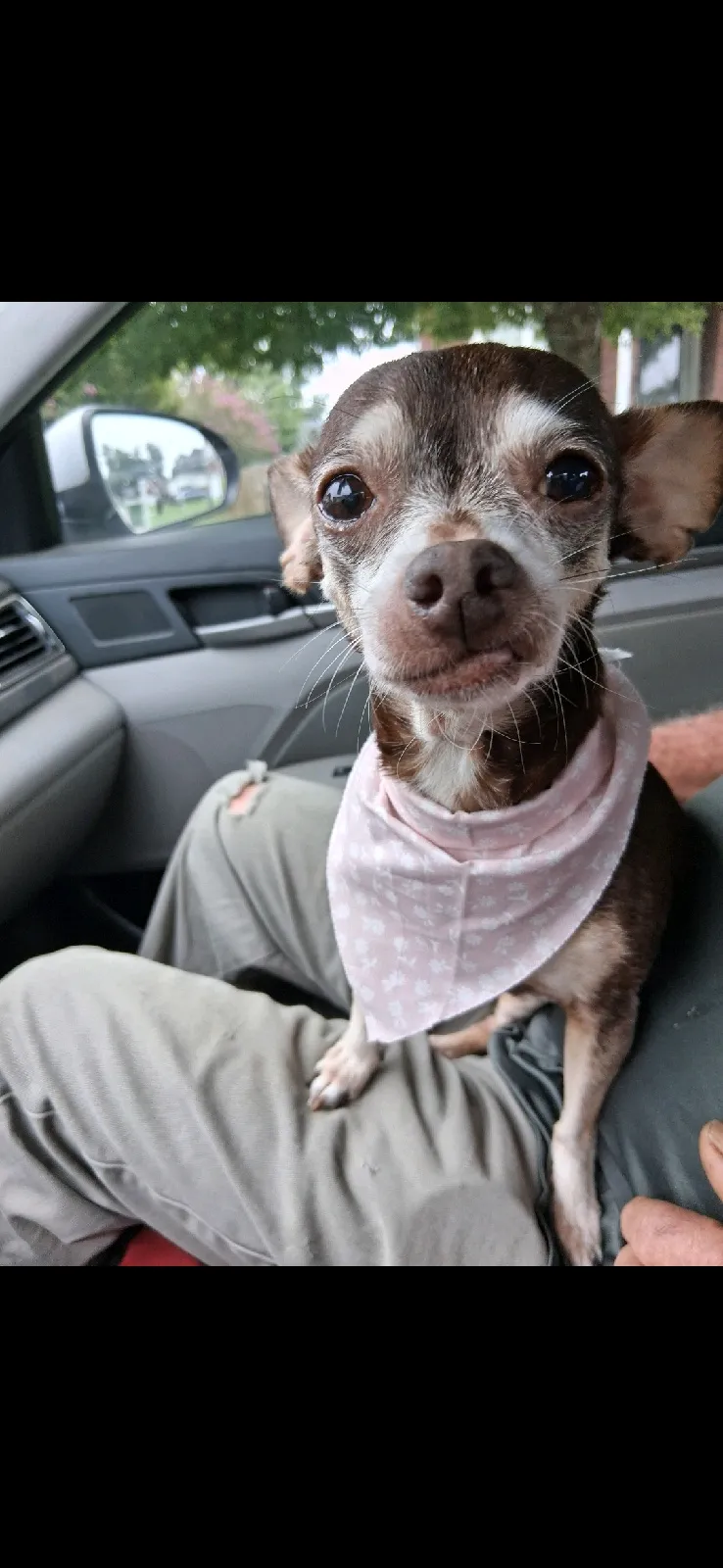 Coco