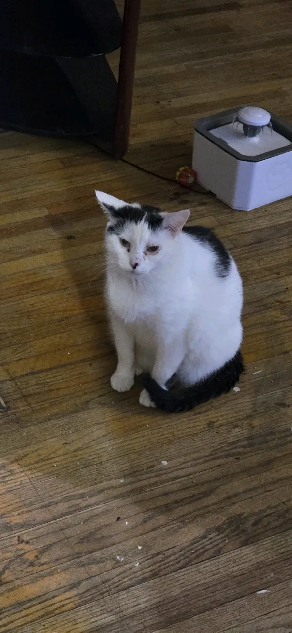 Minnie
