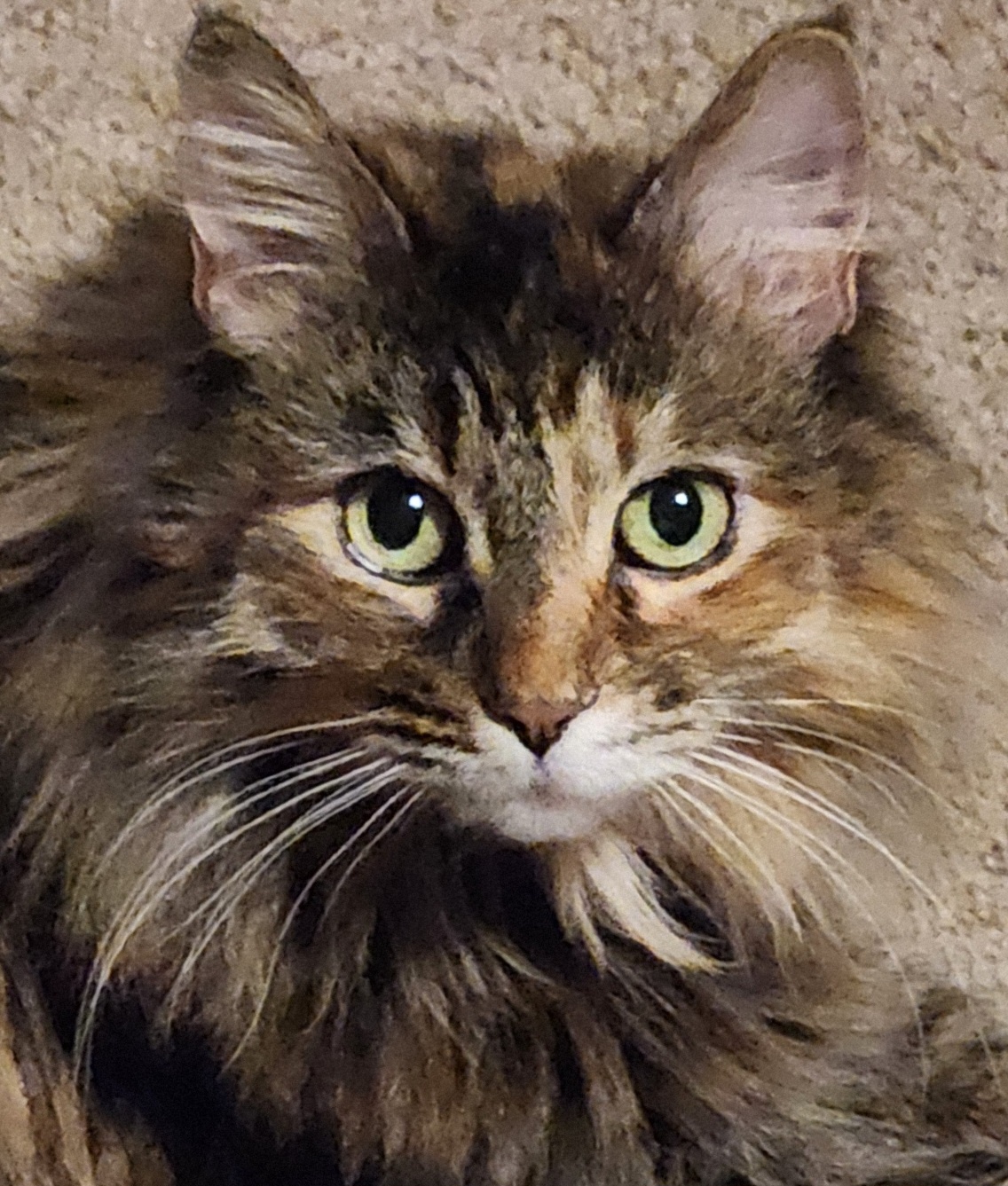 Bella